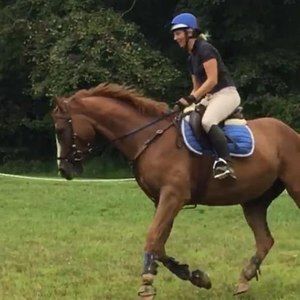 Meet your Posher, Lacy